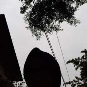 sri retno profile icon