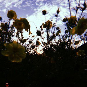 Dede Cahya profile icon