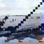 Irul Airis Mursaid profile icon