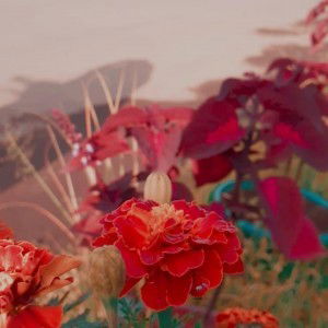 Rizki Laelatun R profile icon