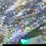 suci aldila putri profile icon