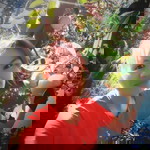 Bao Quyên profile icon