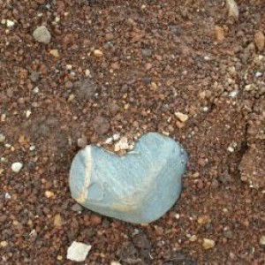 Jemi Rose profile icon