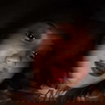 Lovely Ann Juanico Javier profile icon