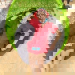 Kanjana Sliueang profile icon