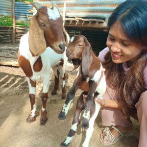 จุฑา มาศ profile icon