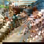 จุฑา มาศ profile icon