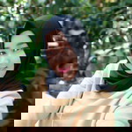 Alka Ajja profile icon