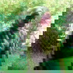 Siti Nurakhilah profile icon