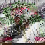 Fitri Aryanti profile icon