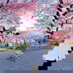 Krystle Cantillo profile icon