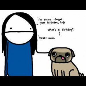 dini haqiah profile icon