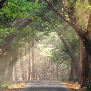 Cariage Venize profile icon