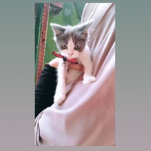 Iis Rahmawati profile icon