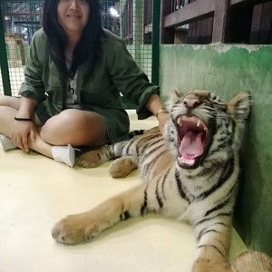 Piyawan Ungtanadilok profile icon