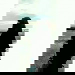 Chyana Umell profile icon