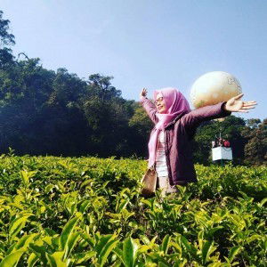 Vita Vitansyah profile icon