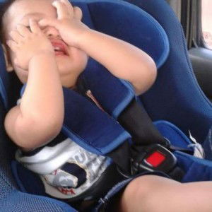 Fang Fang Jeef profile icon