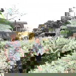 Não Cá Vàng profile icon