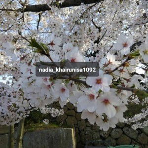 Nadia Khairunisa profile icon