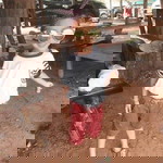 Nanzy Nirumon profile icon