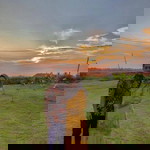 Noor Alieyaa Rahmat profile icon