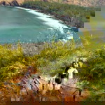 Catherine Logronio profile icon