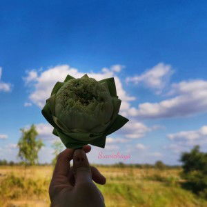 ทางเดิน เดินทาง profile icon