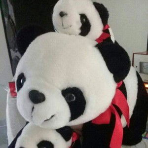 Nitz Sagitarius profile icon