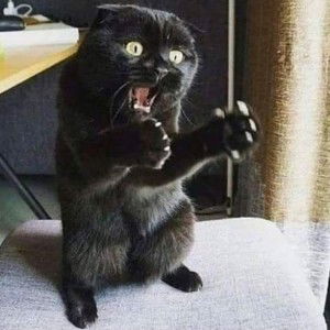 Nur Shaziela profile icon