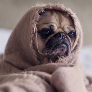 Cc Vatanika profile icon