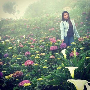 Rich Arebo profile icon