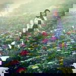 Rich Arebo profile icon