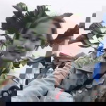 Phan Giang profile icon