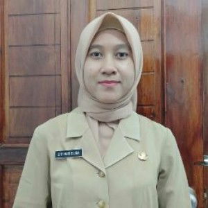 elisa nur profile icon