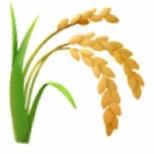 Nuina Story profile icon