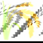 Nuina Story profile icon