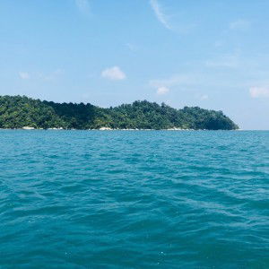 Rubini Rubee profile icon