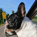 Kwpt Kwpt profile icon