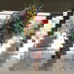 EJ Santiago Faltado profile icon