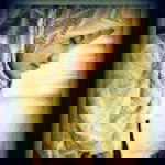 Syahadah Rosli profile icon