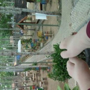 Umah Yappeuda profile icon