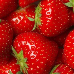 uchy trisna profile icon