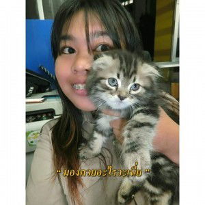 Orasar Artsili profile icon