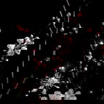 Fir Firoh Ayu profile icon