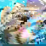 Windy Tri profile icon