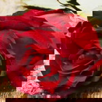 mom to be profile icon