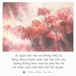 Ngọc Phương profile icon