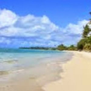 Sha yuyu profile icon