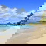 Sha yuyu profile icon